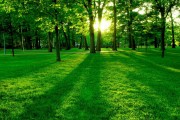 世界体能恢复设备标准化试验：多家厂家参与兼容性测试，世界体能大赛