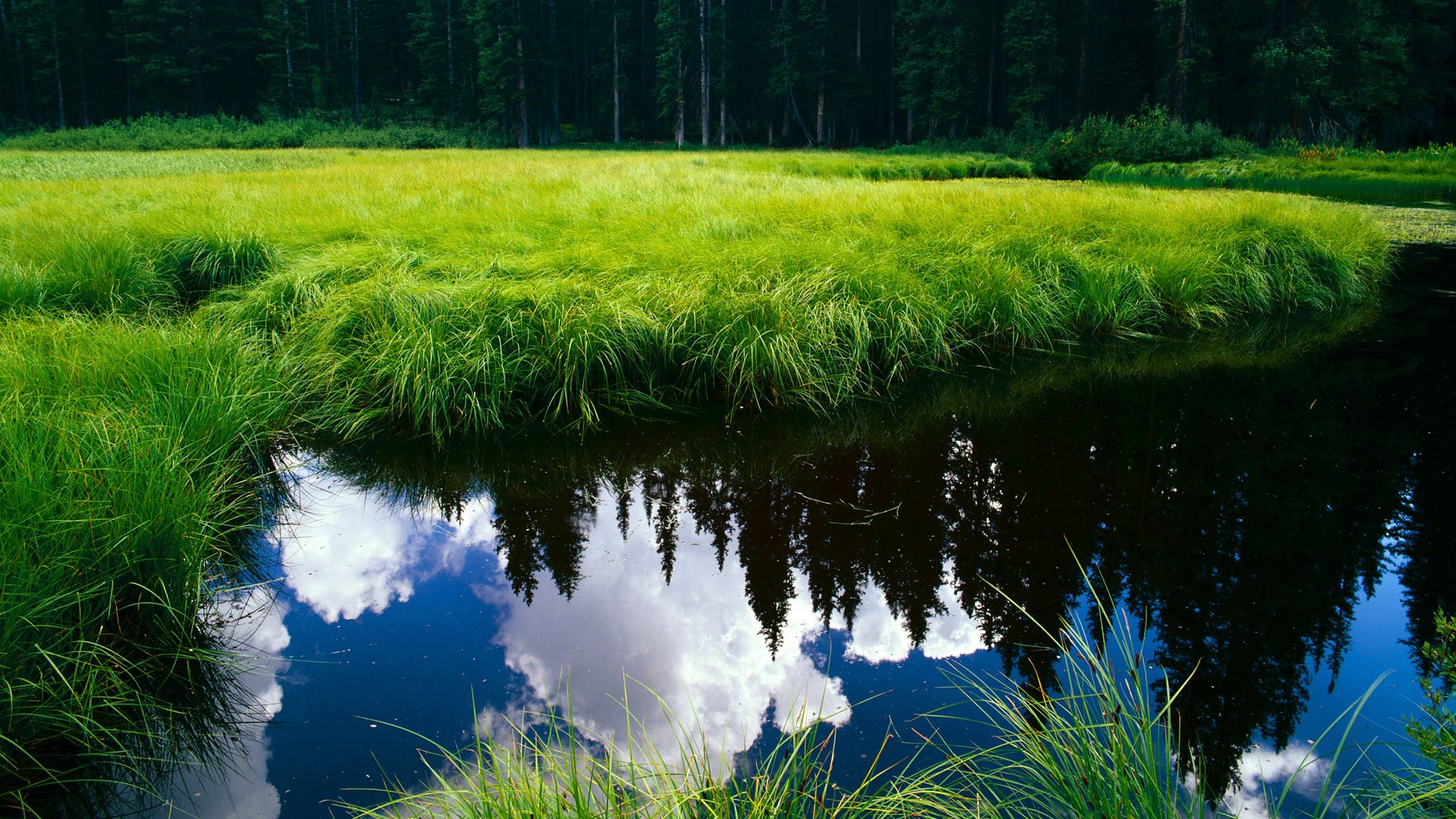 世界游泳俱乐部社区课程商业化与公益并行模式解析,游泳俱乐部经营模式