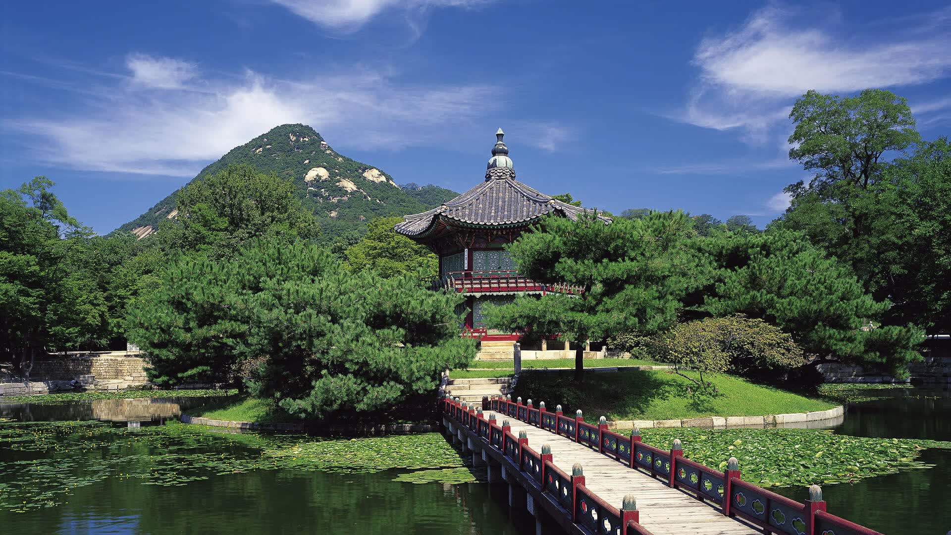 世界登山青年导师暑期营志愿服务成果展映启动,青年登山活动